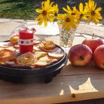 gf1-Gugelhupfform-gf1-mit-Tortenboden-Deckel-(10)